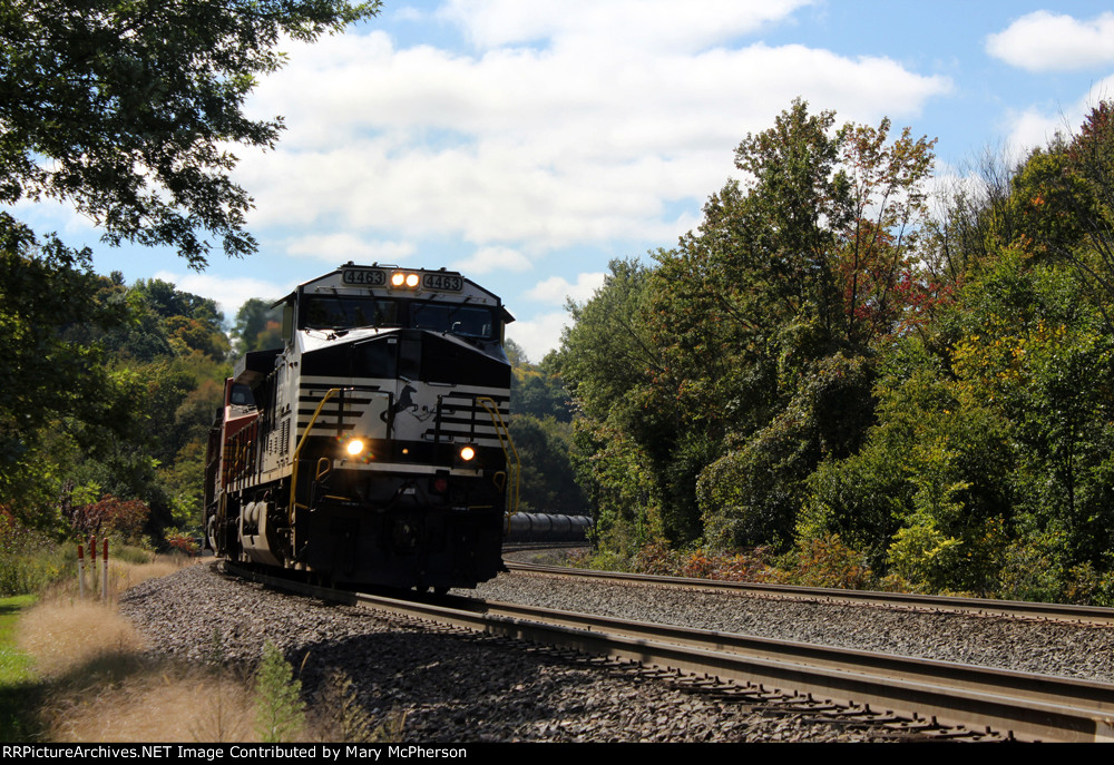 NS 4463 East